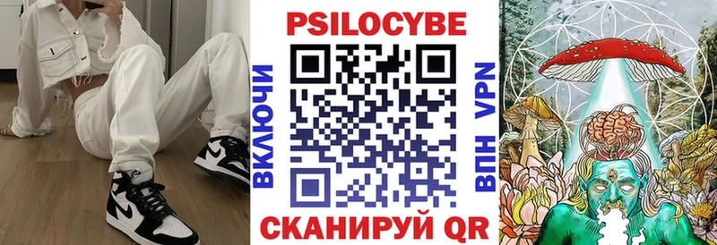 Псилоцибиновые грибы MAGIC MUSHROOMS что такое Венёв
